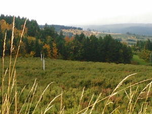 Hood River, Fall season