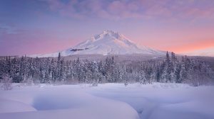 Mt Hood in the winter