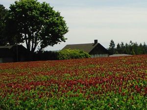 Oregon barn