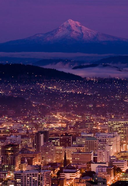 city of portland with mountain at night